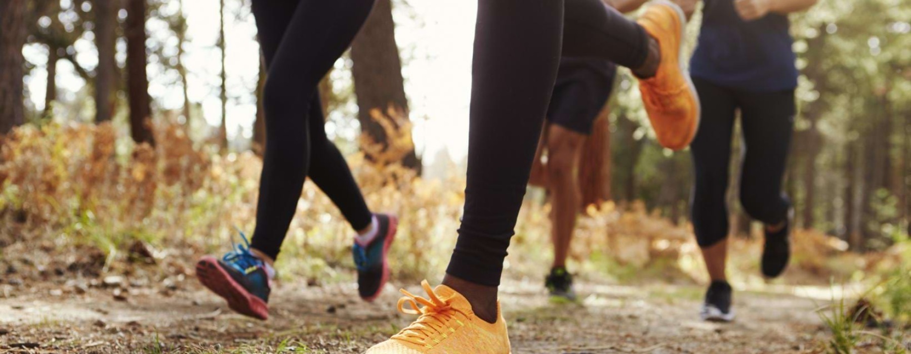 a group of people running on a trail